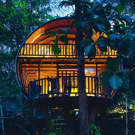 Hotel Woodland Sanctuary Habarana Esterno foto