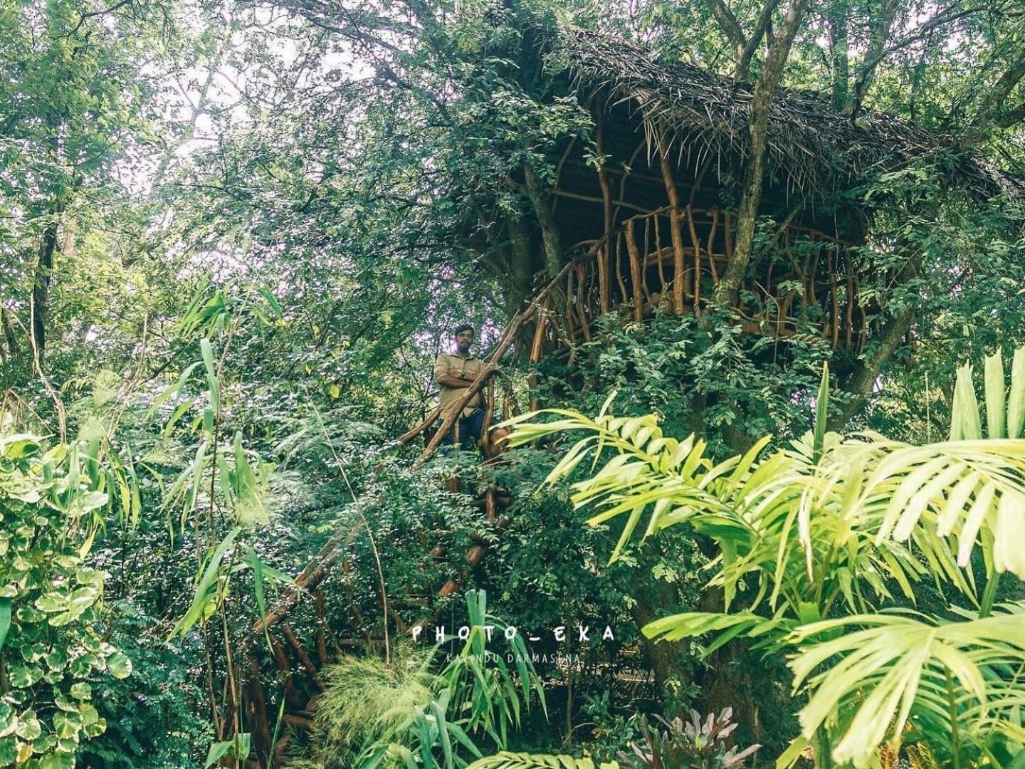 Hotel Woodland Sanctuary Habarana Esterno foto